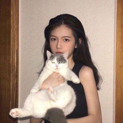 修仙道无境手机版